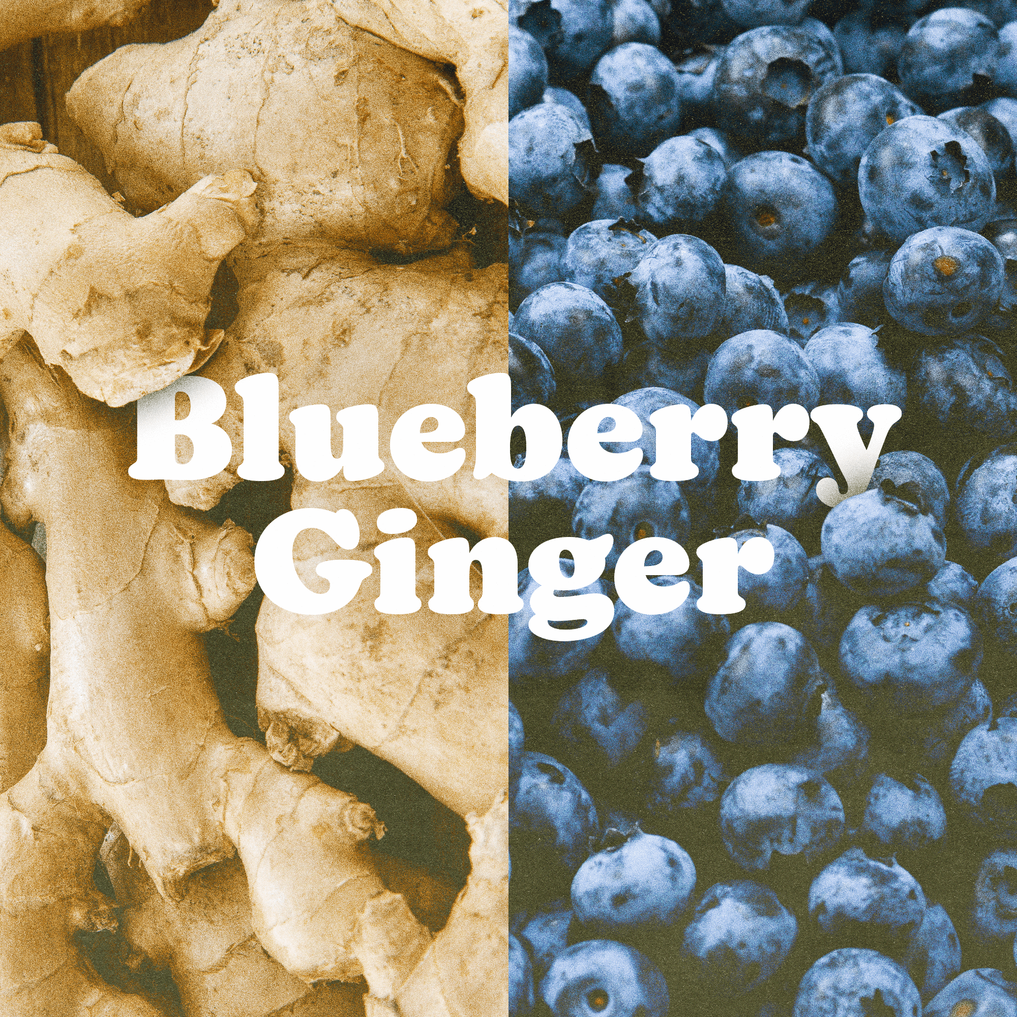 Blueberry Ginger